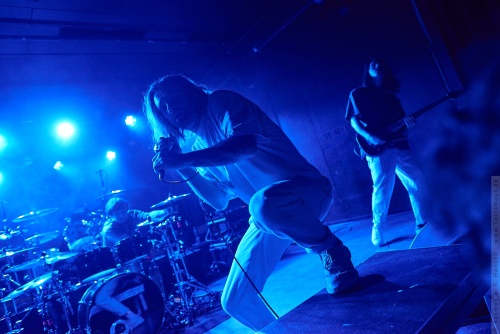 01-2023-00333 - Invent Animate (US)
