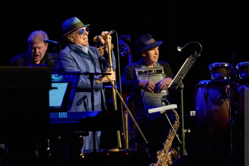 01-2023-01955 - Van Morrison (UK)