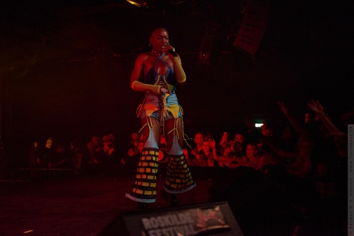 01-2023-03005 - Pongo (AO)