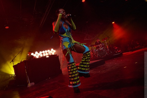 01-2023-03008 - Pongo (AO)