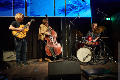 01-2024-00580 - Hein Westergaard Trio (DK)