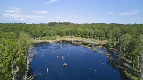 03-2024-00267 - Nyrup Hegn (31 m)