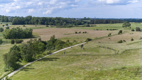 03-2024-00315 - Lejre Skibssætning (29 m)