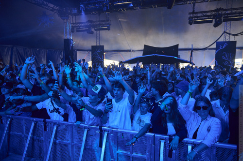 01-2024-03535 - Strandz (UK)