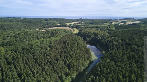 03-2024-00590 - Rø Plantage (120 m)