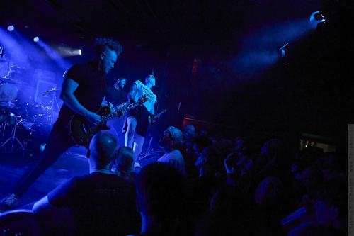 01-2025-00381 - Vulvatorious (DK)