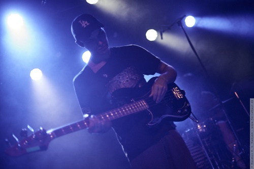 01-2017-01800 - Homeshake (CAN)