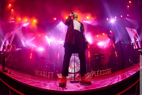 01-2015-00970 - Scarlet Pleasure (DK)