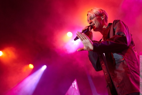 01-2015-00974 - Scarlet Pleasure (DK)
