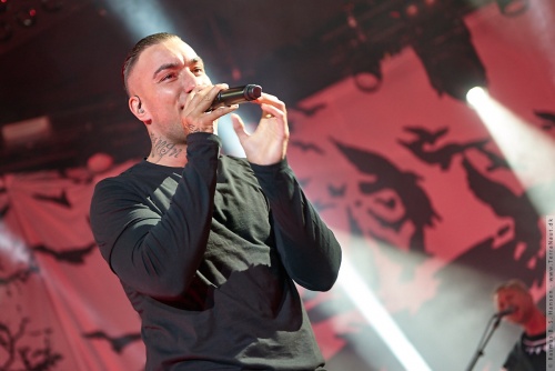 01-2015-01146 - Joey Moe (DK)