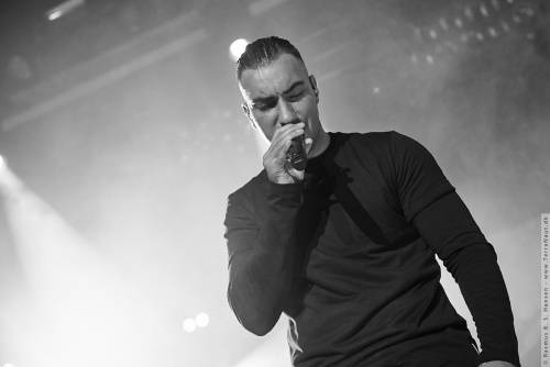01-2015-01155 - Joey Moe (DK)