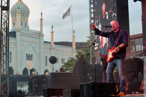 01-2015-01326 - Mark Knopfler (UK)