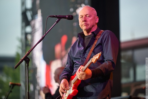 01-2015-01329 - Mark Knopfler (UK)