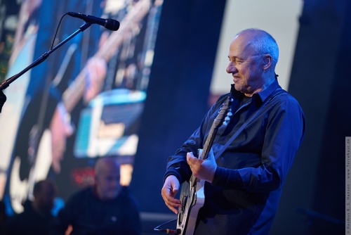 01-2015-01387 - Mark Knopfler (UK)