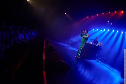 01-2015-02804 - Ponyblod (DK)