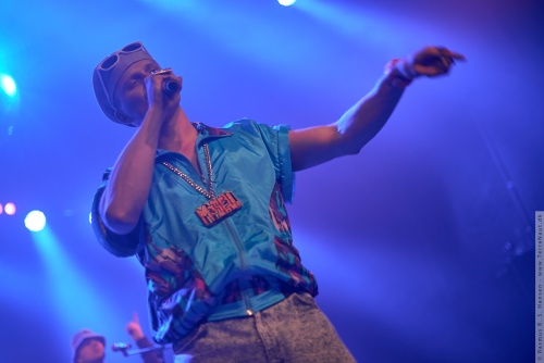 01-2015-02859 - Marvelous Mosell (DK)