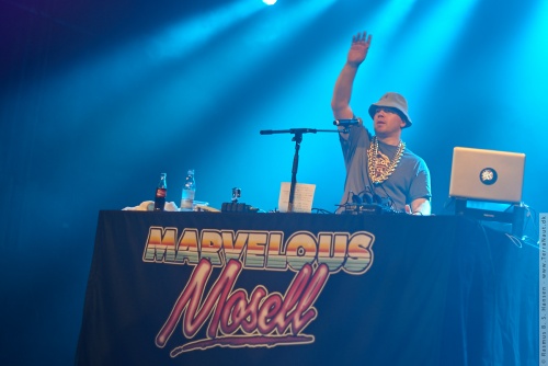 01-2015-02906 - Marvelous Mosell (DK)