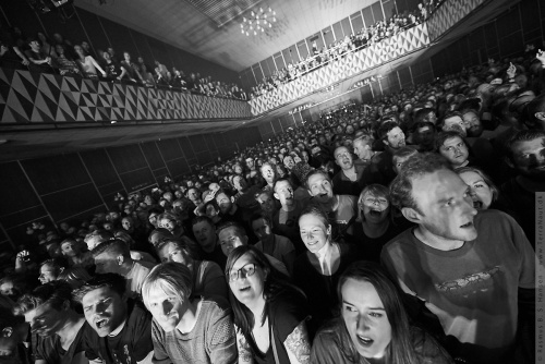 01-2014-02608 - Psyched Up Janis (DK)