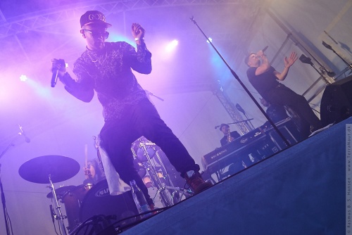 01-2014-03766 - L.I.G.A. (DK)