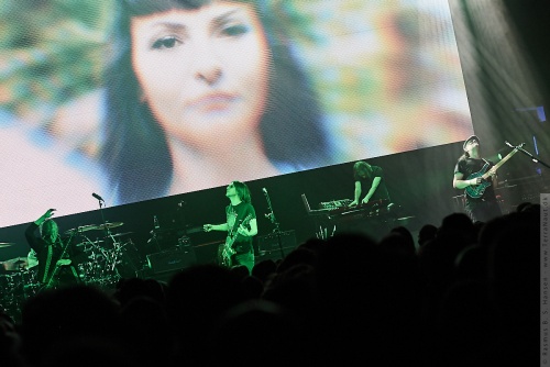 01-2018-00810 - Steven Wilson (US)