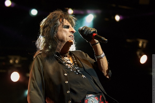 01-2018-02378 - The Hollywood Vampires (US)
