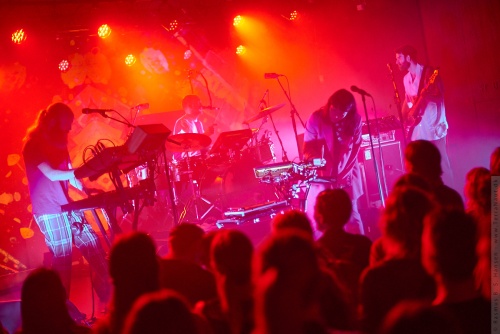 01-2020-00603 - Little Dragon (SE)