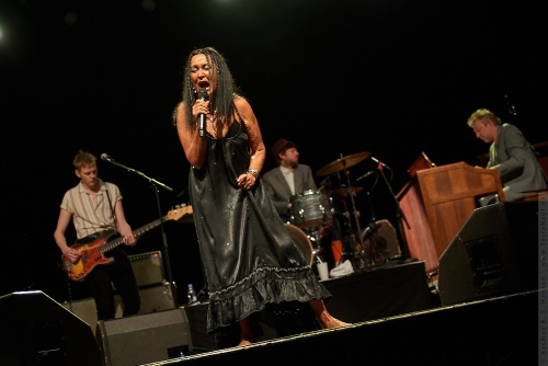 01-2020-01033 - The Savage Rose (DK)